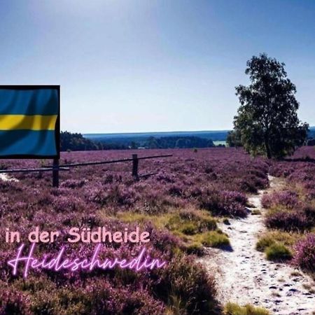 Ferienwohnung Heideschwedin Eschede Kültér fotó