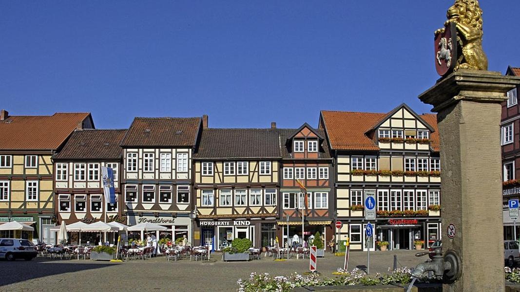 Ferienwohnung Heideschwedin Eschede Kültér fotó